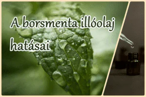 A borsmenta illóolaj hatásai - mire használd?