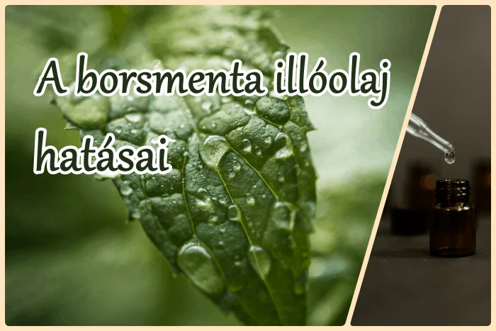 A borsmenta illóolaj hatásai - mire használd?
