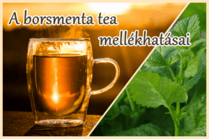 A borsmenta tea mellékhatásai