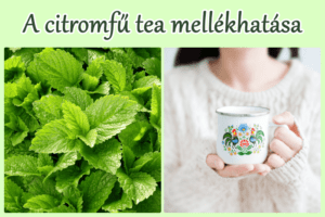 Citromfű tea mellékhatása