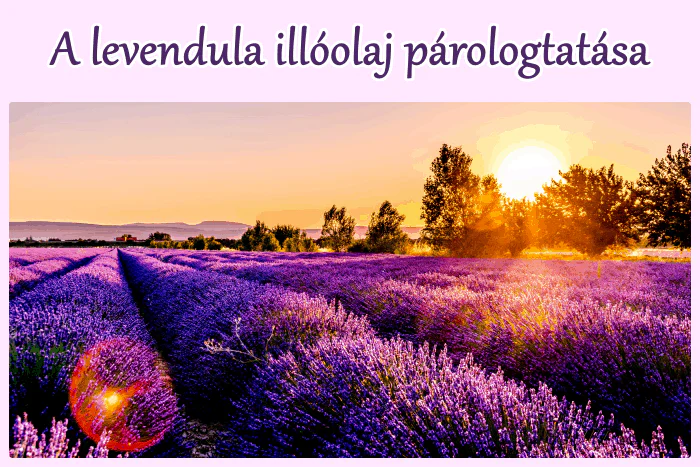 Levendula illóolaj párologtatása