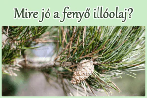Mire jó a fenyő illóolaj?