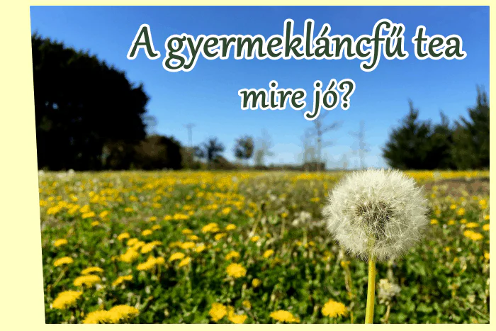 A gyermekláncfű tea mire jó?