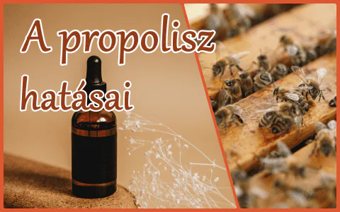 Mire jó a propolisz csepp?