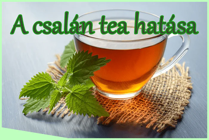 A csalán tea hatása