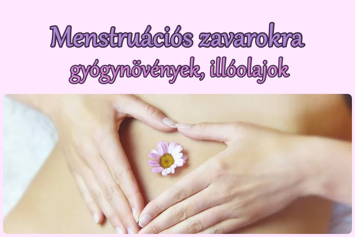 Illóolaj, gyógynövény menstruációs zavarokra