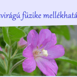 A kisvirágú füzike mellékhatásai