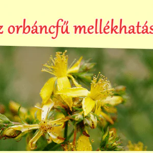 Az orbáncfű mellékhatásai