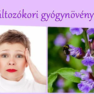 Változókori gyógynövények - hőhullám, izzadás, rossz alvás...