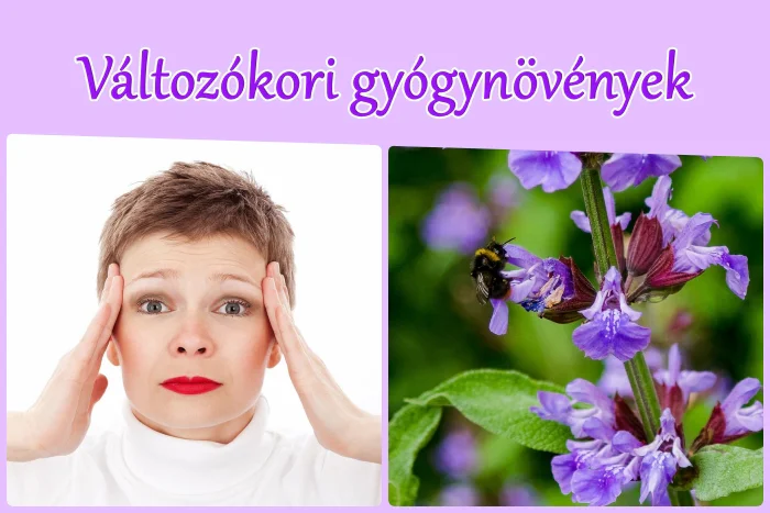 Változókori gyógynövények - hőhullám, izzadás, rossz alvás...