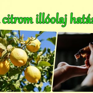 A citrom illóolaj hatása
