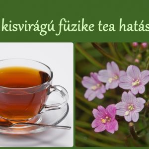 A kisvirágú füzike tea hatásai