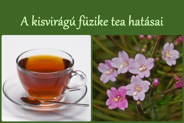 A kisvirágú füzike tea hatásai