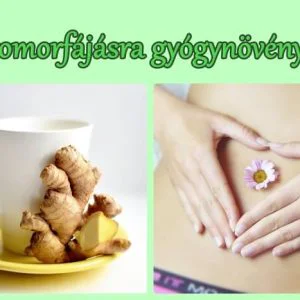 Gyomor- és bélpanaszokra hatékony gyógynövények