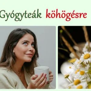 Gyógytea köhögésre