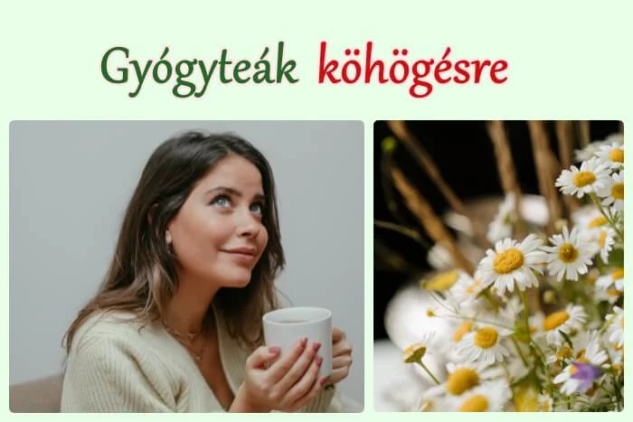 Gyógytea köhögésre
